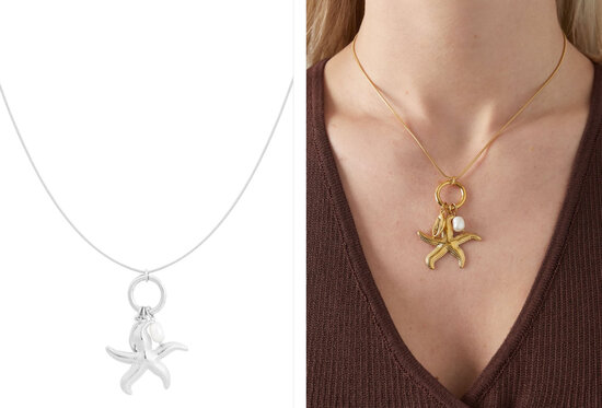 Star of the sea ketting - Zilver kleur