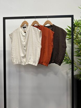 Chastar blouse bruin