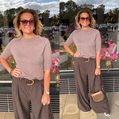 Anna top taupe