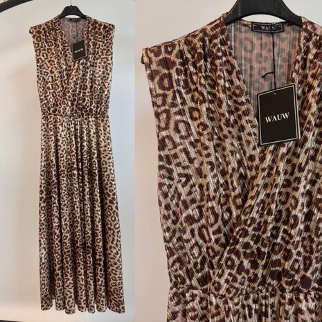 Luna Leopard dress 