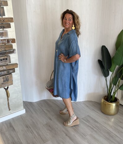 Maaike denim dress