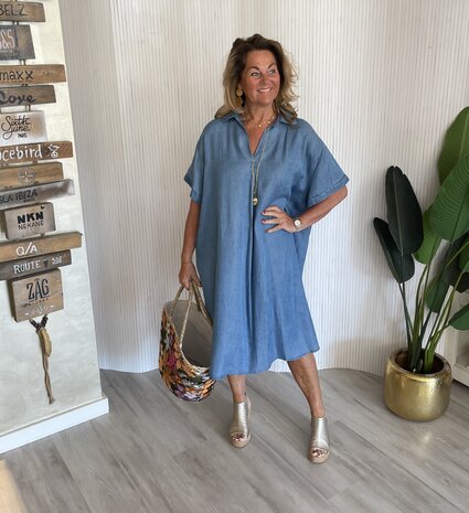 Maaike denim dress