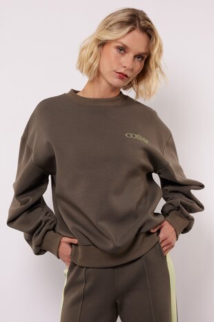 Fluresk Dianthe sweater Clay