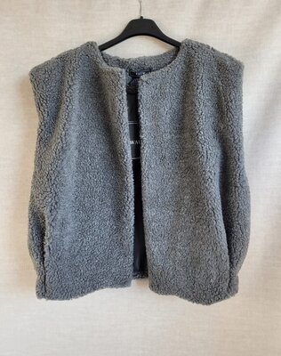 Rianne gilet - grijs