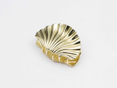 Haarclip kleine schelp